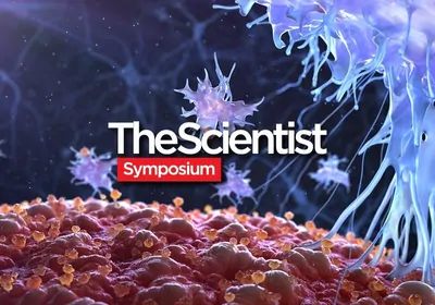 Neoantigen Prediction for Precision Immunotherapies